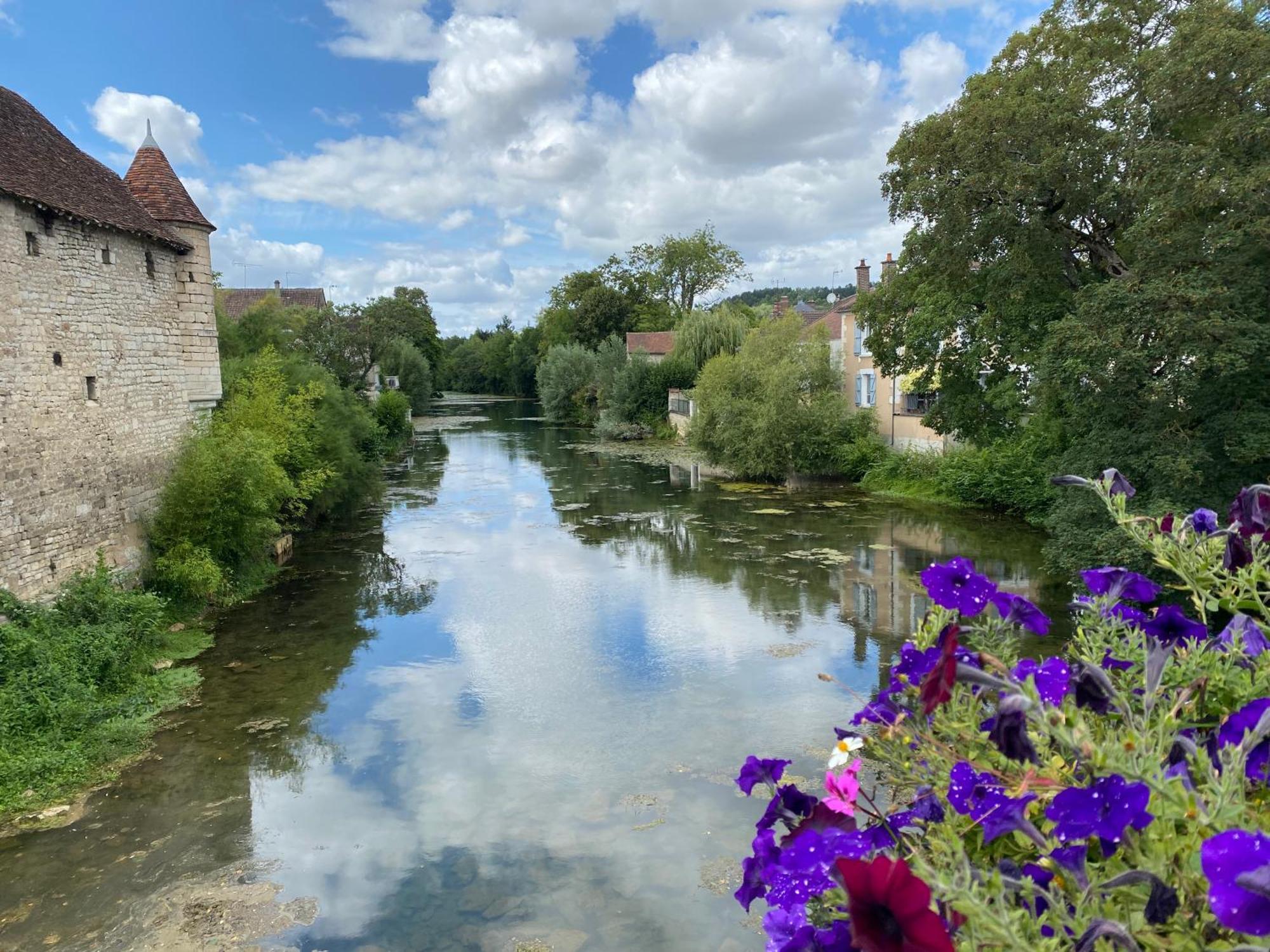 Le Merrain Gite Plein Coeur De Chablis Bagian luar foto
