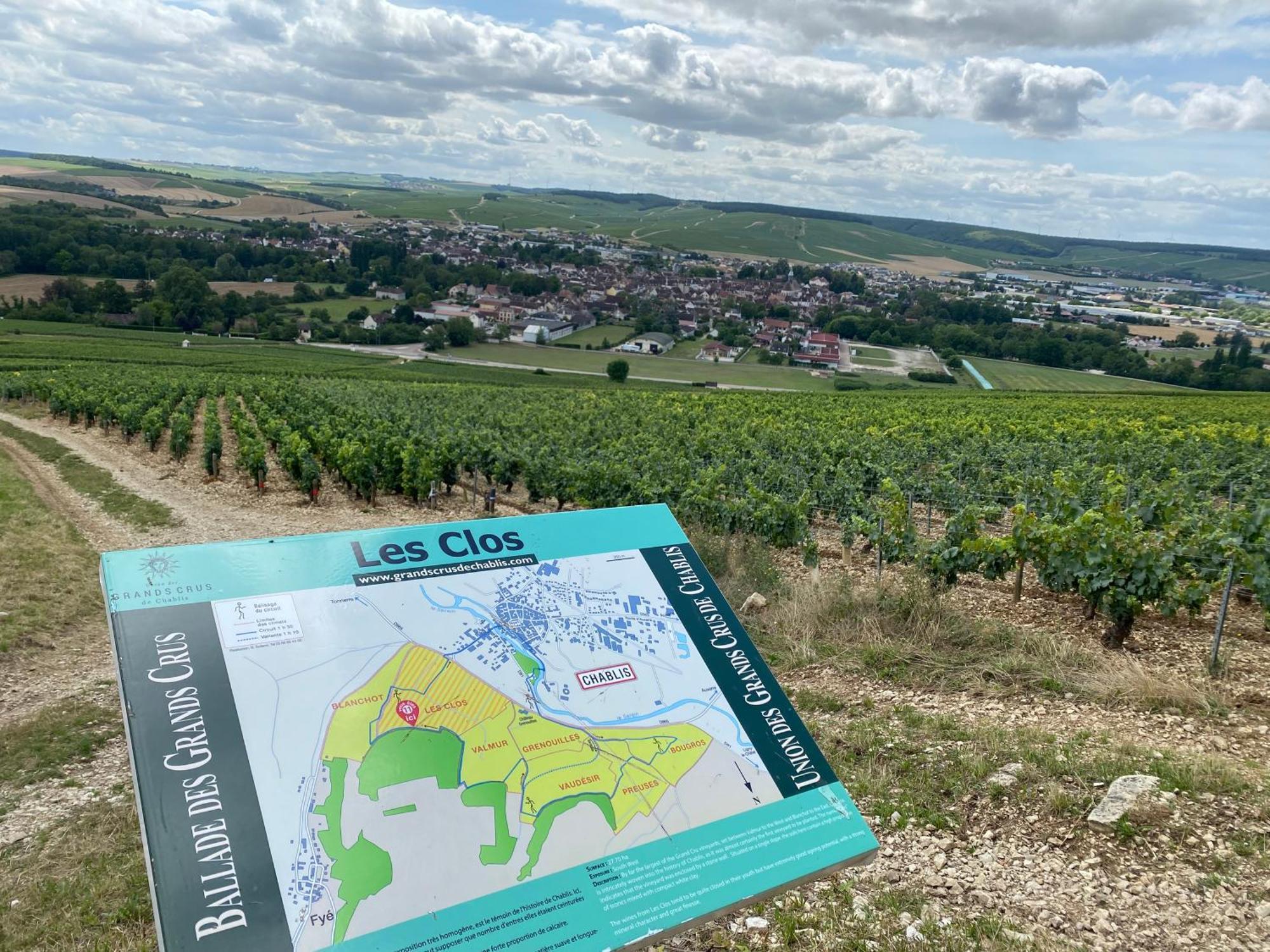 Le Merrain Gite Plein Coeur De Chablis Bagian luar foto